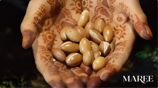 Masque pour Cheveux à l'Huile d'Argan : bienfaits et utilisations pour nos cheveux sublimée